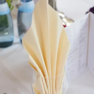 Folded white restaurant napkins