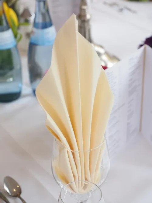 Folded white restaurant napkins
